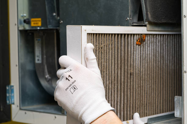 Best Ductwork Cleaning Services  in Forked River, NJ